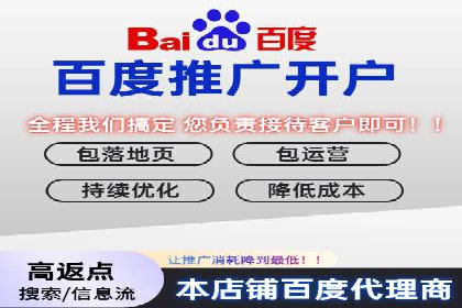 竞价广告的投放策略调整：基于数据反馈的实战案例